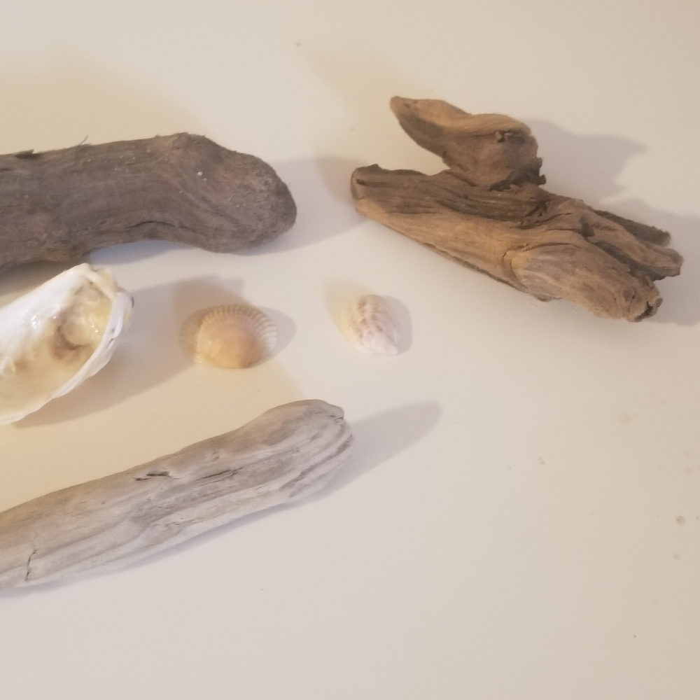 Driftwood & Shell Beach Decor 7 pc